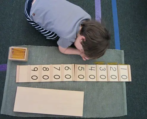 a Montessori science experiment with young learners observing nature