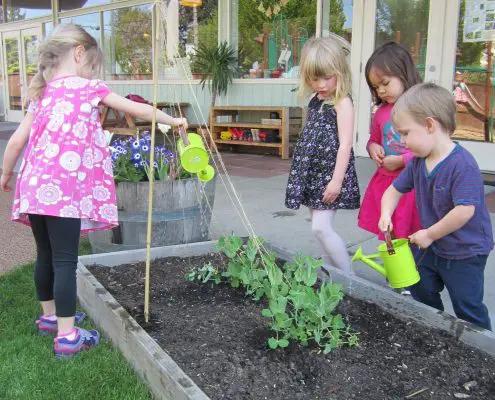 students building fine motor skills through Montessori tools and exercises