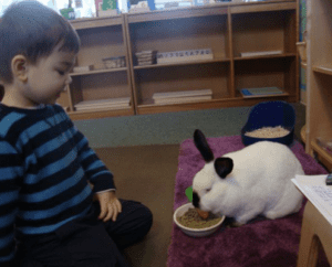 a Montessori classroom setup emphasizing independence and exploration