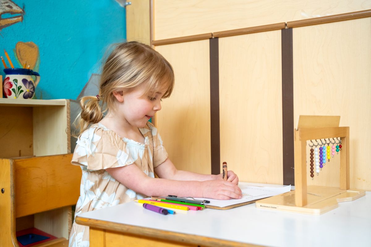 Education Shape